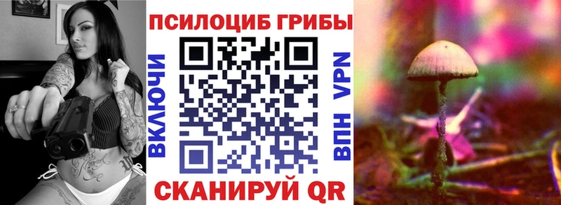 KRAKEN ONION Десногорск Галлюциногенные грибы Magic Shrooms